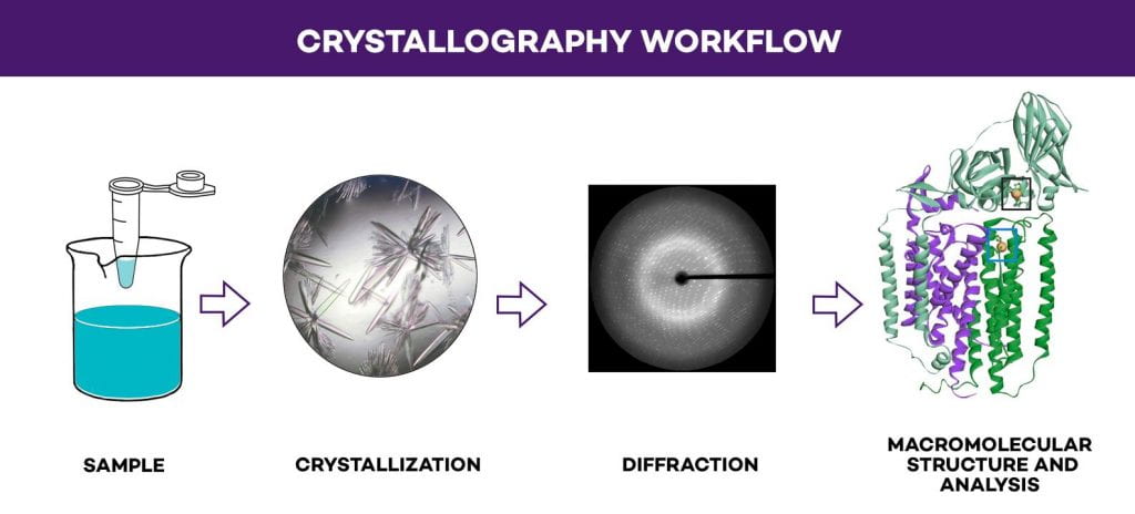 Crystallography Workflow